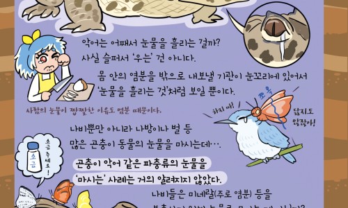 4个月宝宝呕吐要警惕-宝宝四个月恶心吐网 - 四个月宝宝反胃吐奶怎么回事,4个月宝宝吐奶怎么回事